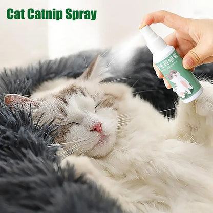 Spray Catnip Natural Maximum Potency Cat Nip Bundle High Potency Catnip 50ml Safe Non-Addictive Catnip Feline And Cat Lover