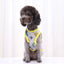 Cute Thin Summer Dog Vest Bear Print Dog Clothes Puppy Costume Chihuahua Bichon Sunscreen Cat Dog Cooling Vest Grils Dog T-Shirt