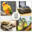 Bird Warmer For Cage Bird Heater Simulates Natural Environment Lighting Bird Lamp Simulates Natural Environment For Parrots