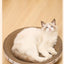 1pc Corrugated Paper Cat Scratcher and Toy Set - Durable and Fun Cat Scratching Pad for Happy and Healthy Felines
