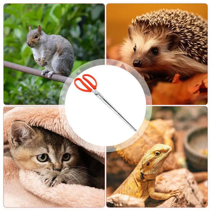 Stainless Steel Reptile Feeder 15 Inches Anti-Skid Feeding Tongs Aquascaping Tools For Hold Worm Steel Reptile Feeding Tong