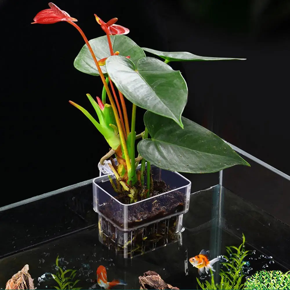 Aquarium Plant Holder with Hook, Fish Tank Plant Cup, Aquatic Plant Cup, Aquarium Decorations, Pot for Plants