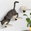4 Pieces Wall Mounted Cat Climbing Shelves Set Wooden Platform Corner of Wall with Cat Small Jumping Platform Kitty Playing
