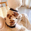 Autumn Winter Dog Clothes Chihuahua Bichon Pet Dog Sweater Soft Striped Cardigan Coat Puppy Warm Knitted Jacket Dog Girl Costume