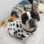 Warm Pet Clothing for Winter Soft Coral Fleece Dog Hoodies Cute Printed Puppy Small Dog Sweater French Bulldog Coat Cats Clothes