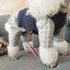 Thin Jumpsuits Dog Clothes Fake Two Piece Suit Spring Autumn Sportswear Knitted Sweater Vest & Shirt Fake Two-piecs Suit