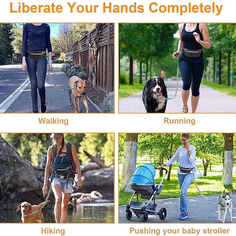 Dog Leash Supplies Free Hands Classic Harness Collar Big Pet Accessories Small Set Dogs Large Suit