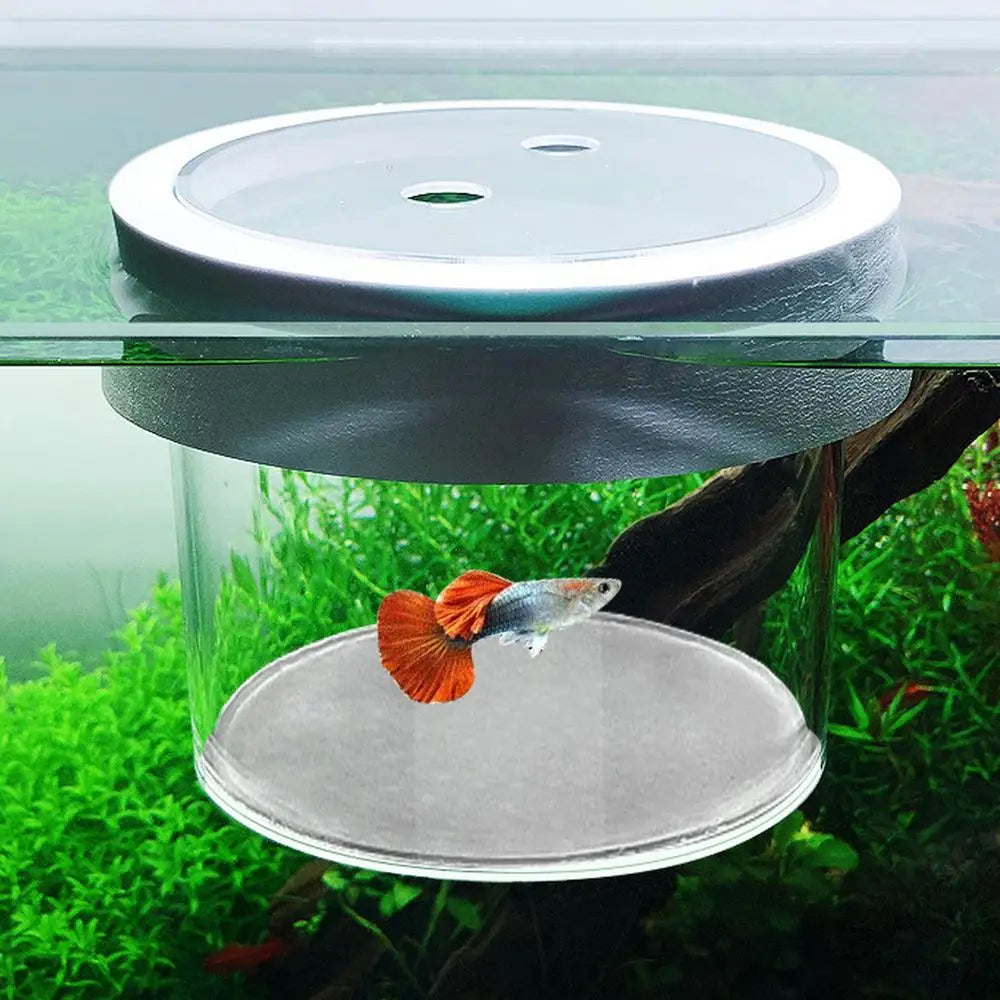 Floating Hatching Box Fish Tank Hatching Incubator Acrylic Aquarium Breeder Feeder Fine Mesh Aquarium Breeder Box Fish Breeding