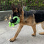 Dog Plush Toy Large And Medium-sized Dog Pet Toys Spot Plush Stuffed Lizard Squeaking Dog Toys Fleece Squeak Toys