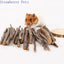 5pcs 10pcs 40pcs Chew Stick Apple Tree Branch Hamster Squirrel Natural Toys Parrots Rabbits Grinding Stick