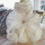 Dog Dress for Small Dogs Prom Party Princess Wedding Dresses Luxury Design Girl Dog Clothes Pomeranian Puppy Cat Costume Outfits