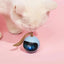 2 in 1 Self Rotating Ball Cat Toy Smart Interactive Cat Toy USB Rechargeable Wicked Ball 360 Degree Automatic Cat Moving Rolling