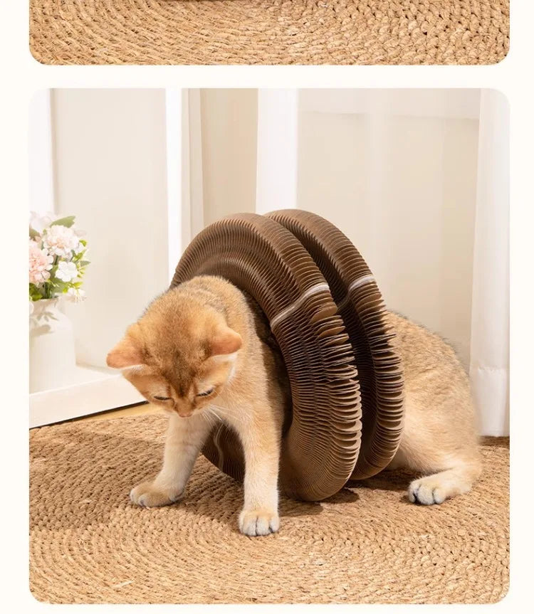 Organ cat scratch board foldable cat toy with bell for self fun and relaxation, cat scratch resistant corrugated paper, scratch