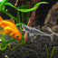 Fish Tank Floating Ornaments Aquarium Floating Aquascape Shark Figurine Decor Fish Tank Craft Undersea Animal Landscaping Decor