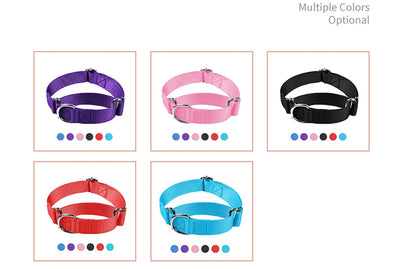 Martingale Heavy Duty Nylon Dog Collar for Small, Medium, Large Breeds Adjustable Safety Training Collar