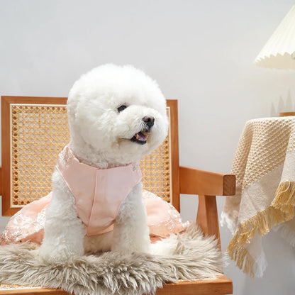 Floral Embroidered Lace Dog Dress for Small Dogs Luxury Design Dog Clothes Summer Bowknot Princess Dress Pet Apparel
