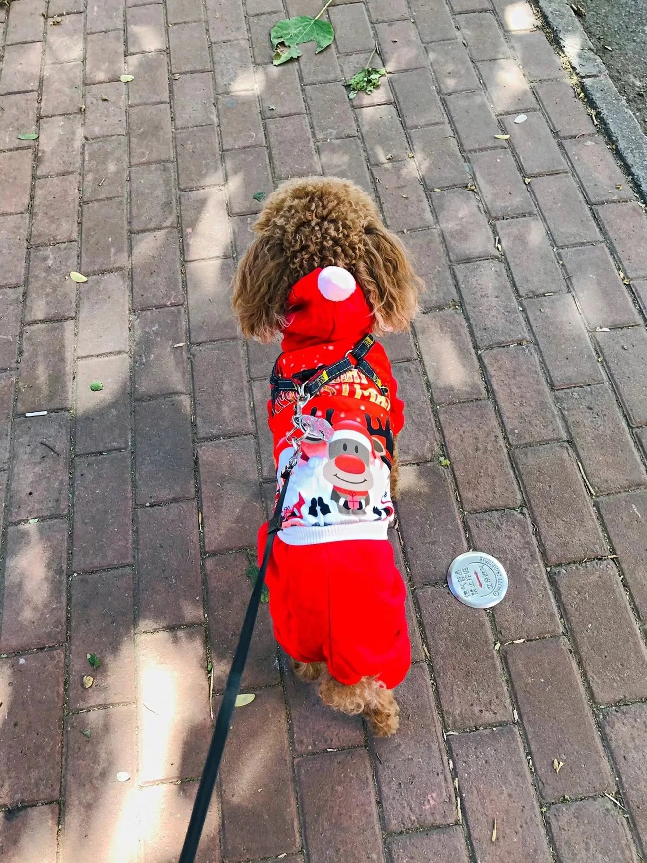 Christmas Dog Coat Sweater Chihuahua Pet Clothes New Year Pets Dogs Clothing For Small Medium Dogs Costume Warm Dog Hoodies