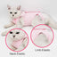 Pet Cat Recovery Suit for Abdominal Wounds or Skin Diseases E-Collar Alternative, After Surgery Wear Onesie Bodysuit Cat Clothes