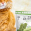 Cat Grass Stick Cat Grass Chewing Stick Natural Teeth Cleaner Removal Row Kitten Pet Snacks Teeth Caring for Kitten Mouth Health