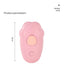 Colored Pet Steam Beauty Comb Cleanable Floating Hair Remove Tangled Hair No Need To Take A Shower Universal For Cat And Dog