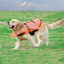 Dog Life Jacket Wings Design Pet Life Vest Dogs Flotation Lifesaver Preserver Swimsuit with Handle for Swim Pool Beach Boating