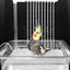 Bird Shower Box Automatic Shower Tub Multipurpose Bird Bathtub Parrot Bath Box For Pet Brids Parakeet Cleaning Supplies