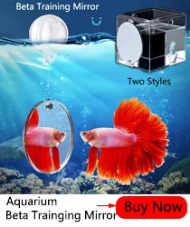 10pcs/lot 4mm TShaped Plastic Connector Aquarium Acessorios 2/3/4 ways Fish Tank Air Pump Connector Control Valve Air Pipe Tubes