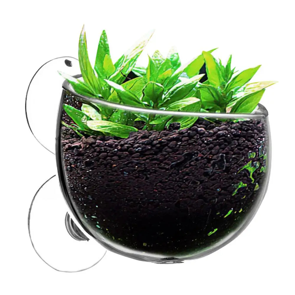 Aquarium Plant Holder Clear Aquarium Tank Live Plant Pot Aquatic Planter With Suction Cups Red Shrimp Live Plants Fish Tank