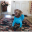 Dog Onesie Clothes Shedding of Dog Hair for Home Car Travel Anxiety Calming Shirt Surgery Recovery Body Jumpsuit for Large Dogs