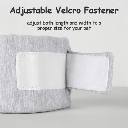 Dog Neck Brace Elizabethan Collar for Pet After Surgery Recovery Wound Protect, Adjustable Cervical Cone for Small Medium Dogs
