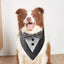 Bandana for Dogs Fashionable Small Dog Bandana Triangle Dog Scarf Pet Triangle Scarf Breathable Dog Handkerchiefs for Parties