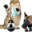 Interactive Cat Toys Cat Fun Interactive Games Interactive Ball Cat Puzzle Feeder Cat Food Puzzle Cat Food Ball Cat Snacks