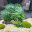 Artificial Underwater Grass Aquarium Fish Tank Simulation Decoration Aquarium Backgrounds Plants Water Grass Accessories New