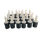 50/100pcs Mini Aquarium Fish Tank Air Stone Oxygen Aerator Increasing Air Bubble Pond Pump Hydroponic Oxygen Fishing Accessories