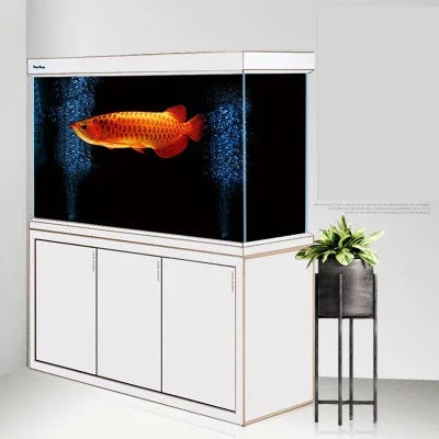 Custom Large Arowana Fish Tank glass fish tank Aquarium