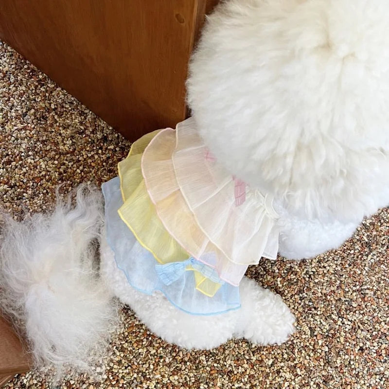 Dog Dress Chiffon Dog Princess Skirt Pet Vest Small Dog Outfit Puppy Summer Clothes Chihuahua Pug Dog Wedding Girls Dog Costume
