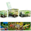 Reptile Terrarium Transparent Reptile Breeding Carrier Lightweight Acrylic Large Feeding Tarantula Habitat Box For Small Animals