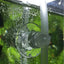 Delysia King  10pcs  Aquarium Air Pipeline Pipe Sucker Fish Tank Accessories