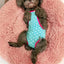 Sweet Sphynx Cat Physiological Pants with Straps Denim Female Pet Safety Sanitary Panties for Cats Gota Animals mascotas Costume