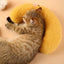 Cats Accessories Beds Dog Bed Houses and Habitats House Basket All Pet Products Mat Accessory Puppy Kitten Goods Things