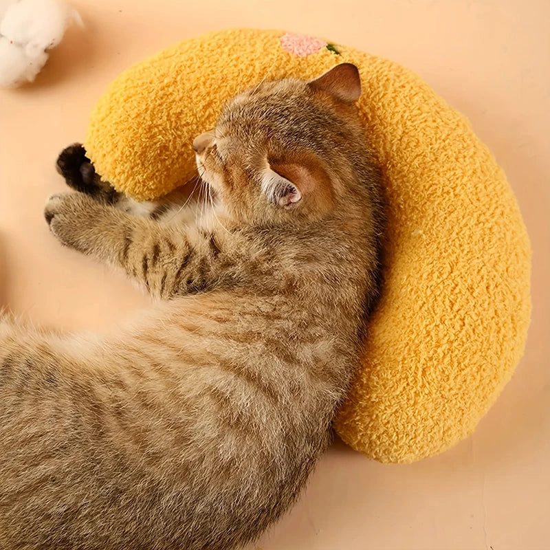 Cats Accessories Beds Dog Bed Houses and Habitats House Basket All Pet Products Mat Accessory Puppy Kitten Goods Things