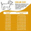 Heavy Duty Gold Dog Collar with Solid Buckle, 304 Stainless Steel Cuban Link Chain, Luxury Metal Pets Walking Collar, Choker
