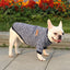 Pet Dog Clothes Knitwear Dog Sweater Soft Thickening Warm Pup Dogs Shirt Winter Puppy Sweater for Dogs Casual Pet Cat Clothing