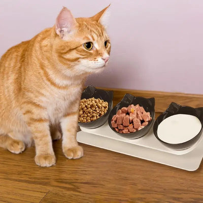 Dog Bowls Elevated Anti-Vomit Tilted Water And Food Feeder With 3 Dishes Pet Feeding Accessories For Cat And Dog Bowls For Dry
