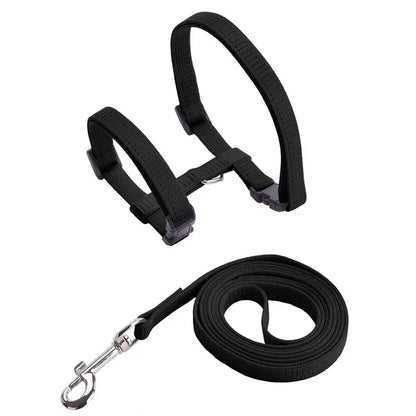 Kitten Cat Harness Leash Set Walking Escape Proof Adjustable Nylon Halter Collar Harness for Cats Puppy Rabbit Pet Accessories