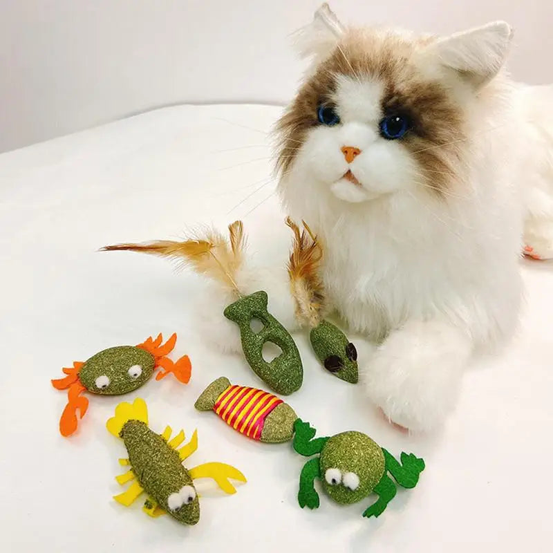 Catnip For Cat Toys Catnip Filled Cartoon Cat Teething Chew Toy Natural Catnip And Silvervine Cat Feather Kicker Toys For Indoor