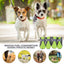 Small Dog Shoes Mesh Hiking Boots Paw Protector 4pcs Breathable Dog Shoes Adjustable Non Slip For Outdoor Running Walking Summer