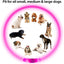 Led Dog Collar Light up USB Cat and Dog Collar 3 Modes Led Light Light up Loss Prevention LED Collar Dog Pet Dog Accessories