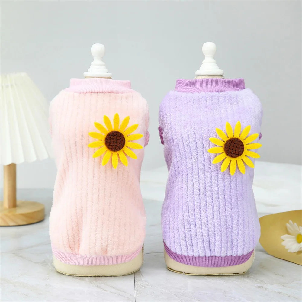 Autumn Winter Sphynx Cat Clothes Korean Pet Sweater for Cats Gotas Katten Kedi Pullovers Dog Hoodie mascotas Costume Clothing
