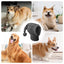 Dog Knit Hat With Earmuff Winter Dog Knitting Caps Soft Puppy Warm Hood Neck And Head Protector Knitting Hat Cute Pet Apparel